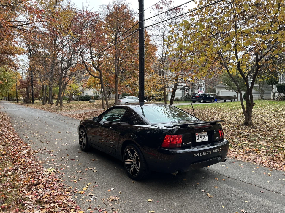 2001 Ford SN95 Mustang - Image 12 of 31