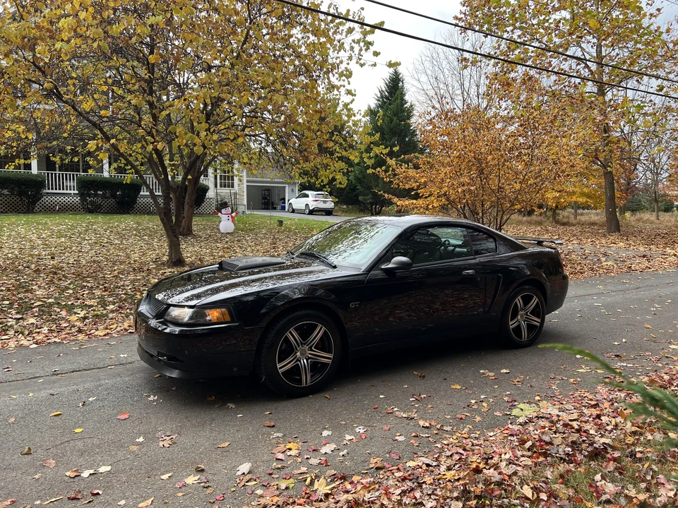 2001 Ford SN95 Mustang - Image 11 of 31