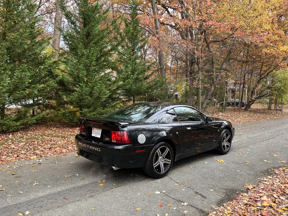 2001 Ford SN95 Mustang - Image 13 of 31