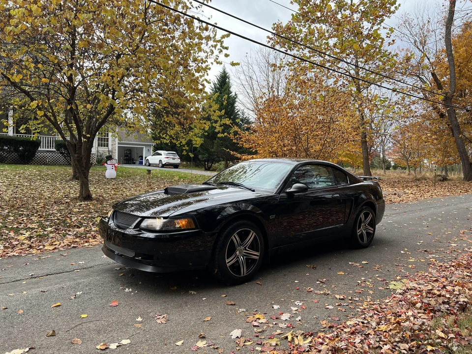 2001 Ford SN95 Mustang - Image 10 of 31