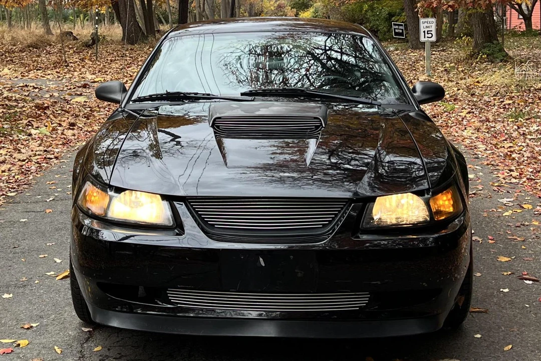 2001 Ford SN95 Mustang - Image 2 of 31