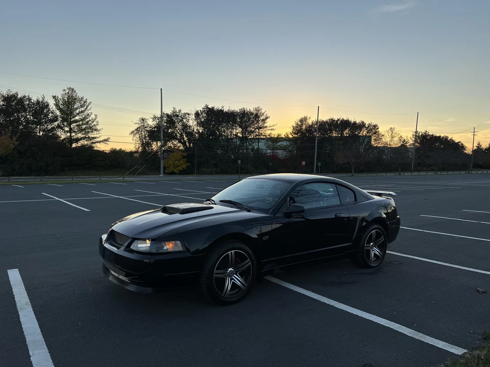 2001 Ford SN95 Mustang - Image 19 of 31