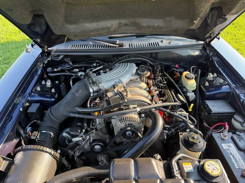 2001 Ford SN95 Mustang - Image 14 of 17