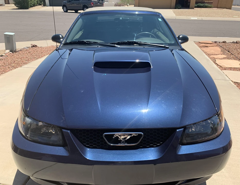 2001 Ford SN95 Mustang - Image 7 of 31