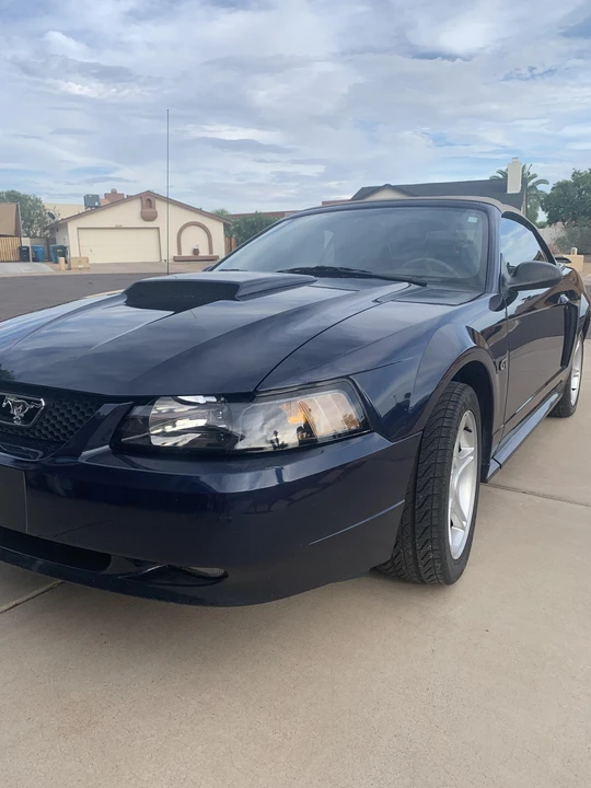 2001 Ford SN95 Mustang - Image 9 of 31