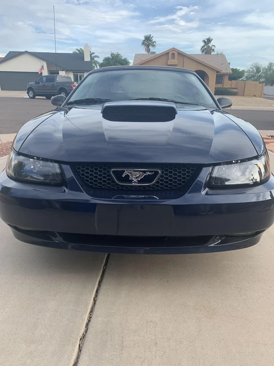 2001 Ford SN95 Mustang - Image 6 of 31