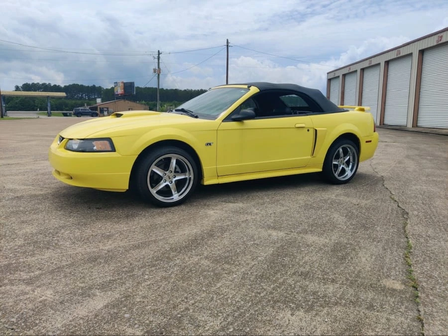 2001 Ford SN95 Mustang - Image 12 of 31