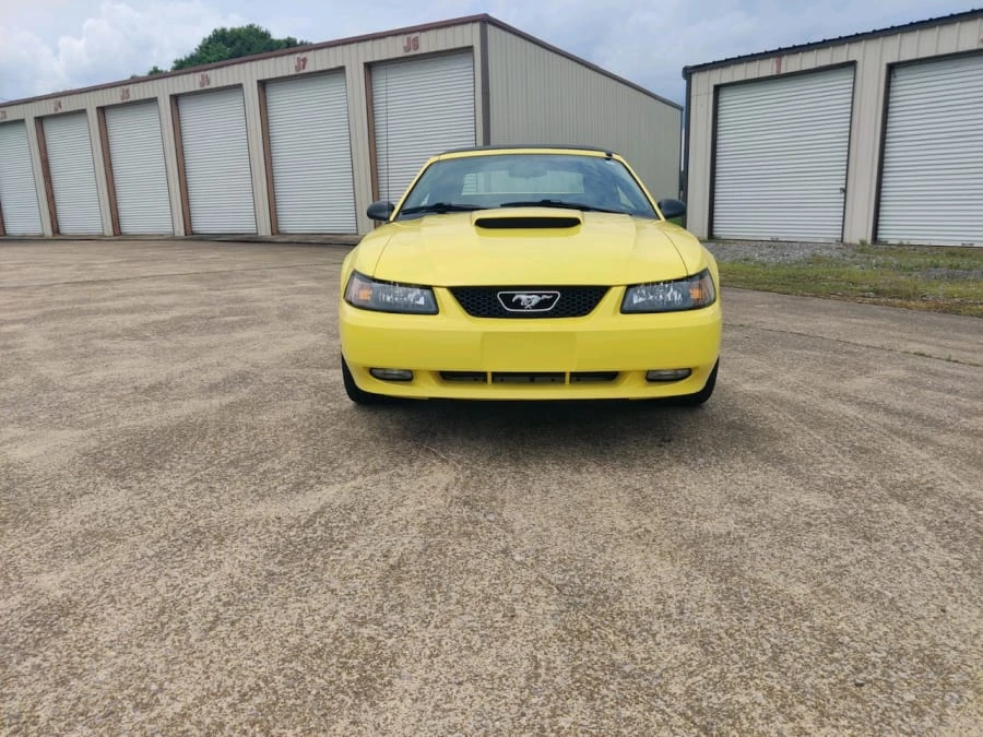2001 Ford SN95 Mustang - Image 5 of 31