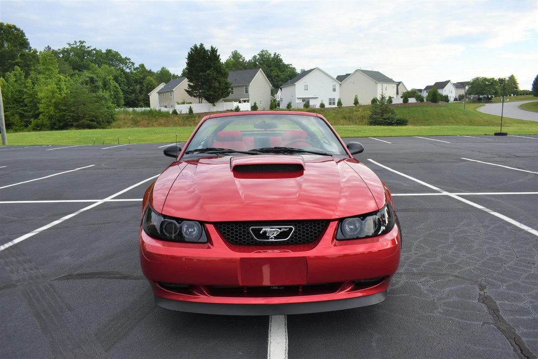 2001 Ford SN95 Mustang - Image 7 of 31