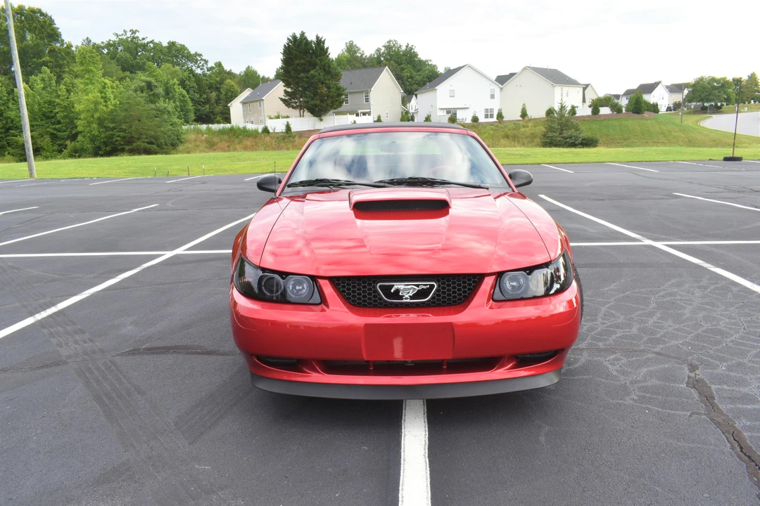 2001 Ford SN95 Mustang - Image 6 of 31