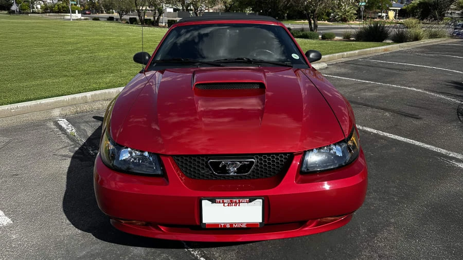 2001 Ford SN95 Mustang - Image 4 of 21