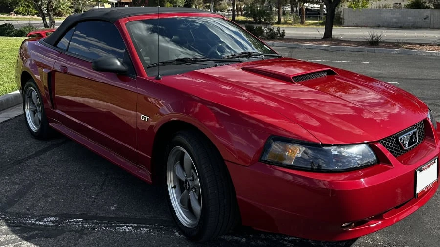 2001 Ford SN95 Mustang - Image 10 of 21