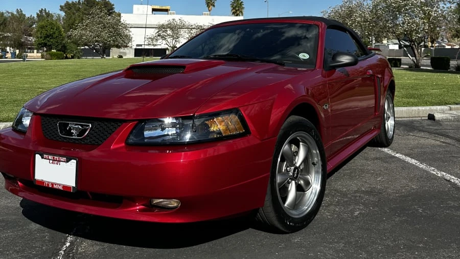 2001 Ford SN95 Mustang - Image 8 of 21
