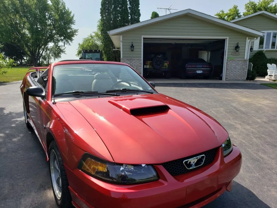 2001 Ford SN95 Mustang - Image 9 of 10