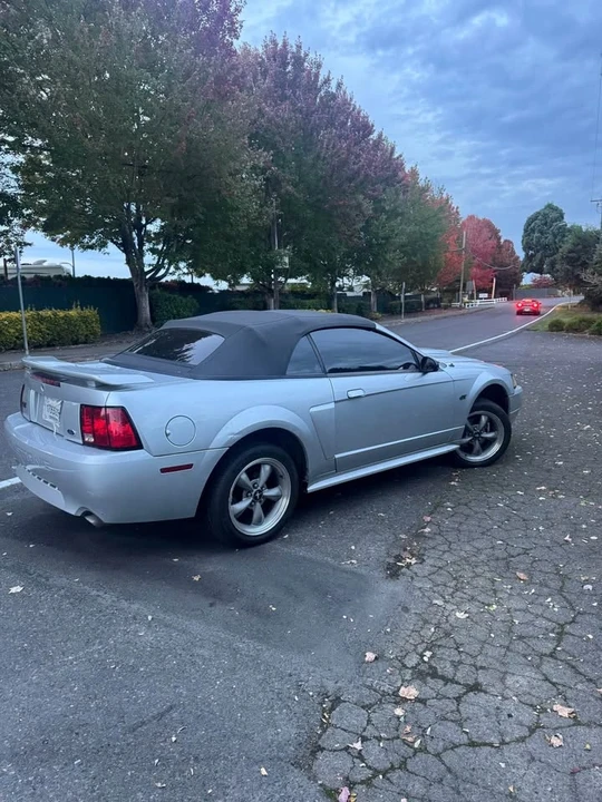 2001 Ford SN95 Mustang - Image 4 of 6