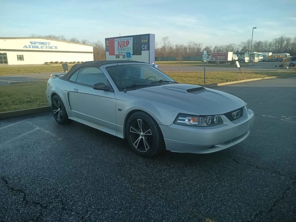 2001 Ford SN95 Mustang - Image 2 of 6