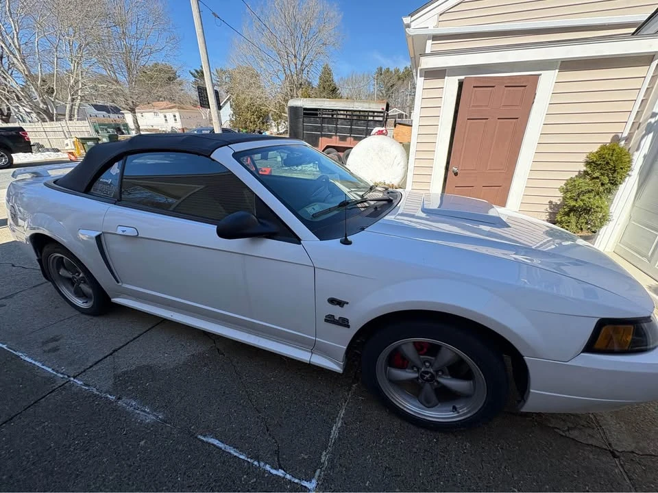 2001 Ford SN95 Mustang - Image 4 of 9