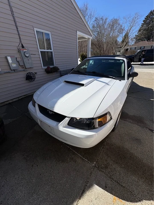 2001 Ford SN95 Mustang - Image 3 of 9