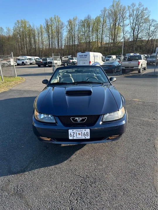 2001 Ford SN95 Mustang - Image 2 of 13