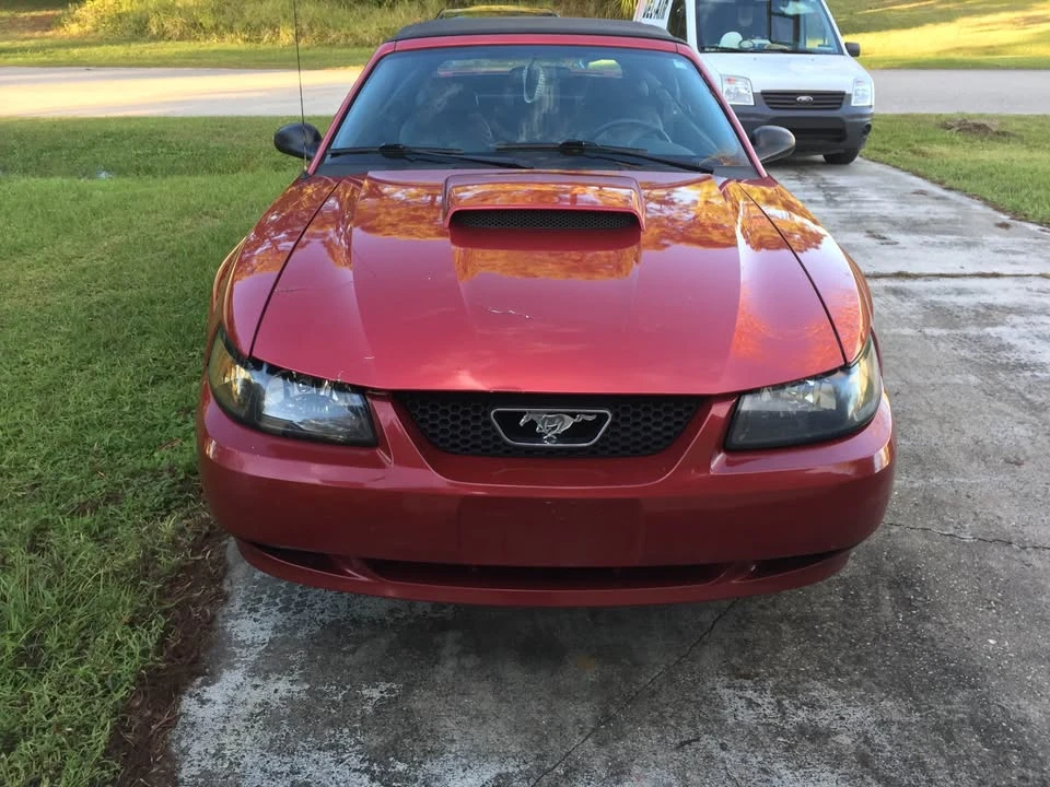 2001 Ford SN95 Mustang - Image 2 of 11