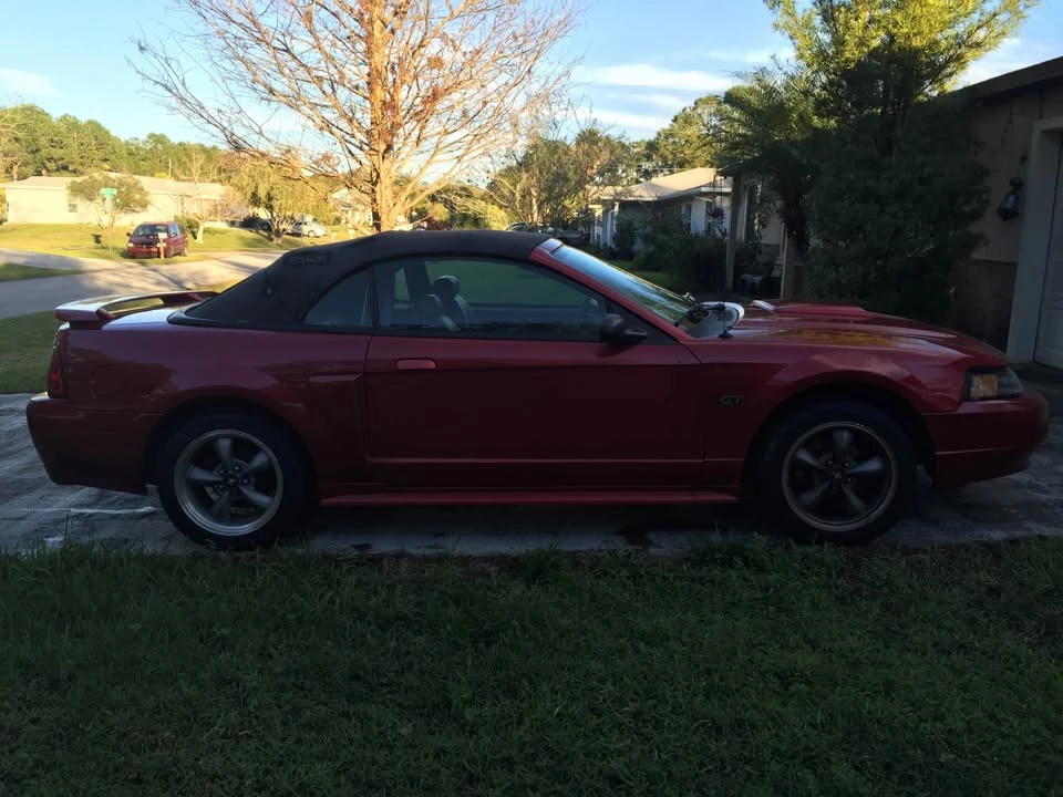 2001 Ford SN95 Mustang - Image 11 of 11