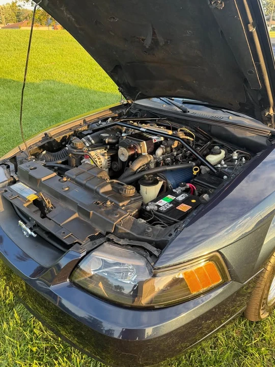 2001 Ford SN95 Mustang - Image 5 of 11