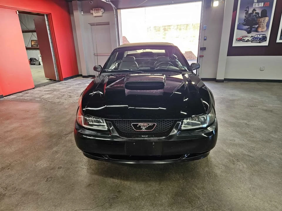 2001 Ford SN95 Mustang - Image 6 of 16