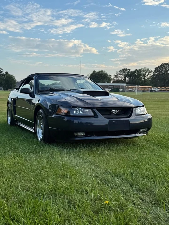 2001 Ford SN95 Mustang - Image 2 of 11
