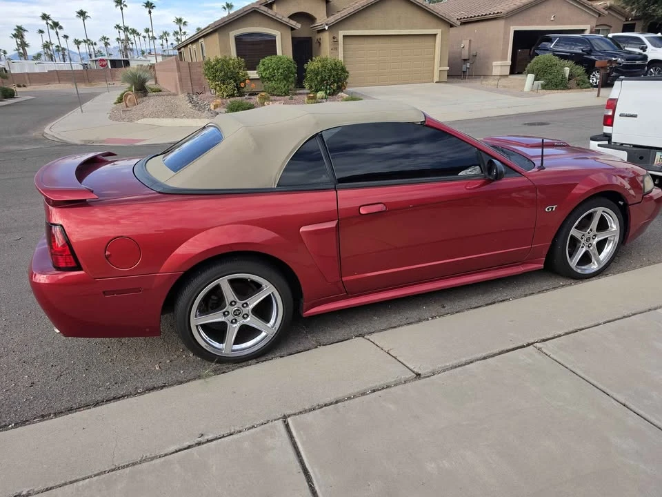 2001 Ford SN95 Mustang - Image 8 of 8