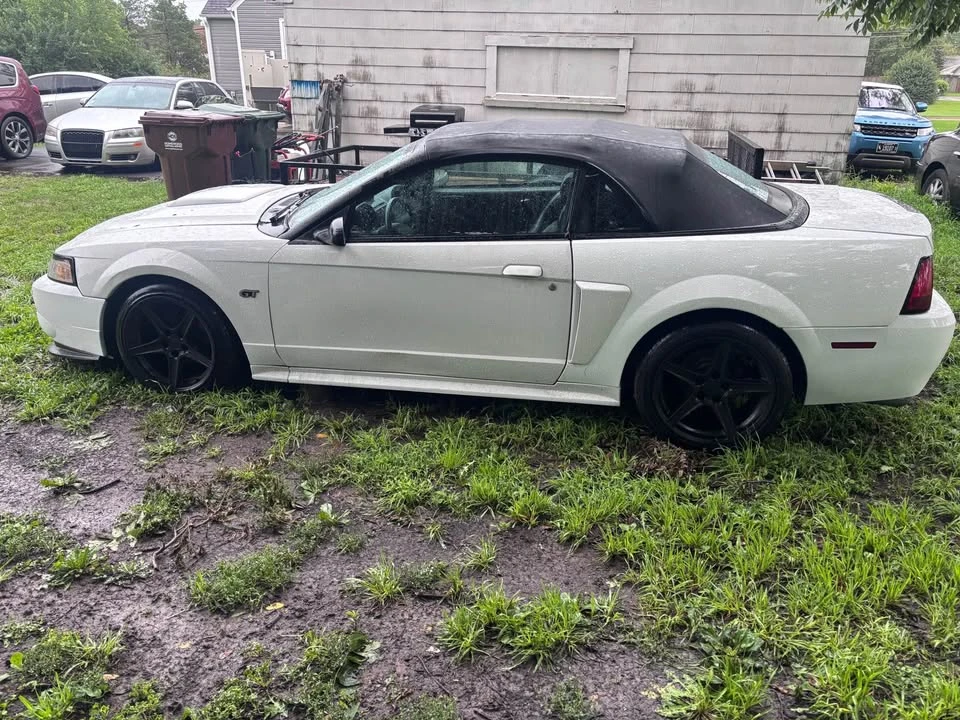 2001 Ford SN95 Mustang - Image 3 of 5