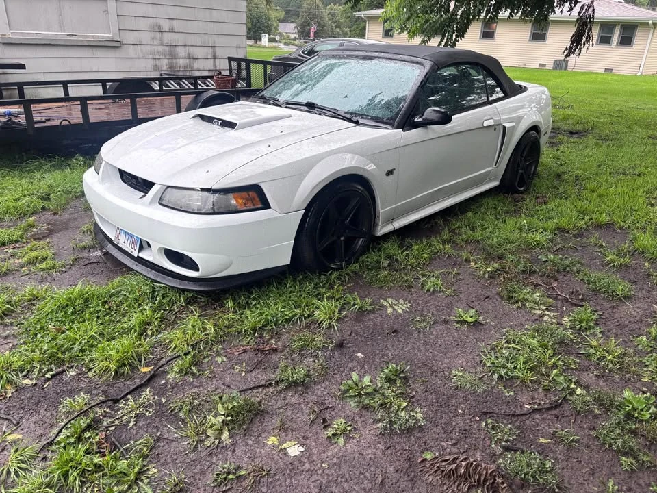 2001 Ford SN95 Mustang - Image 4 of 5