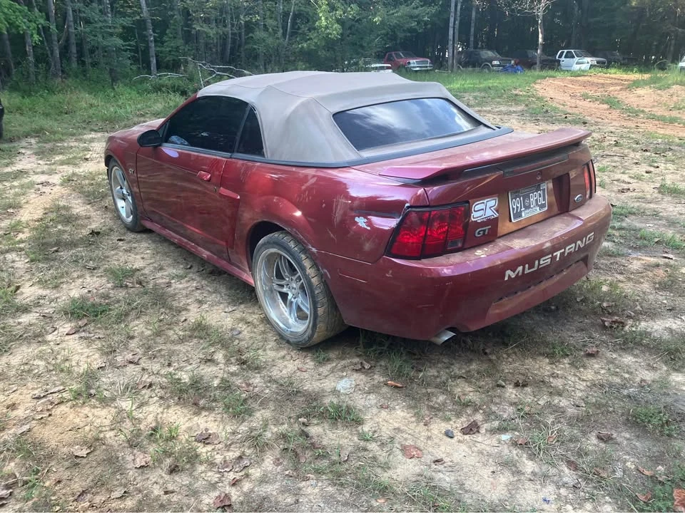 2001 Ford SN95 Mustang - Image 2 of 11