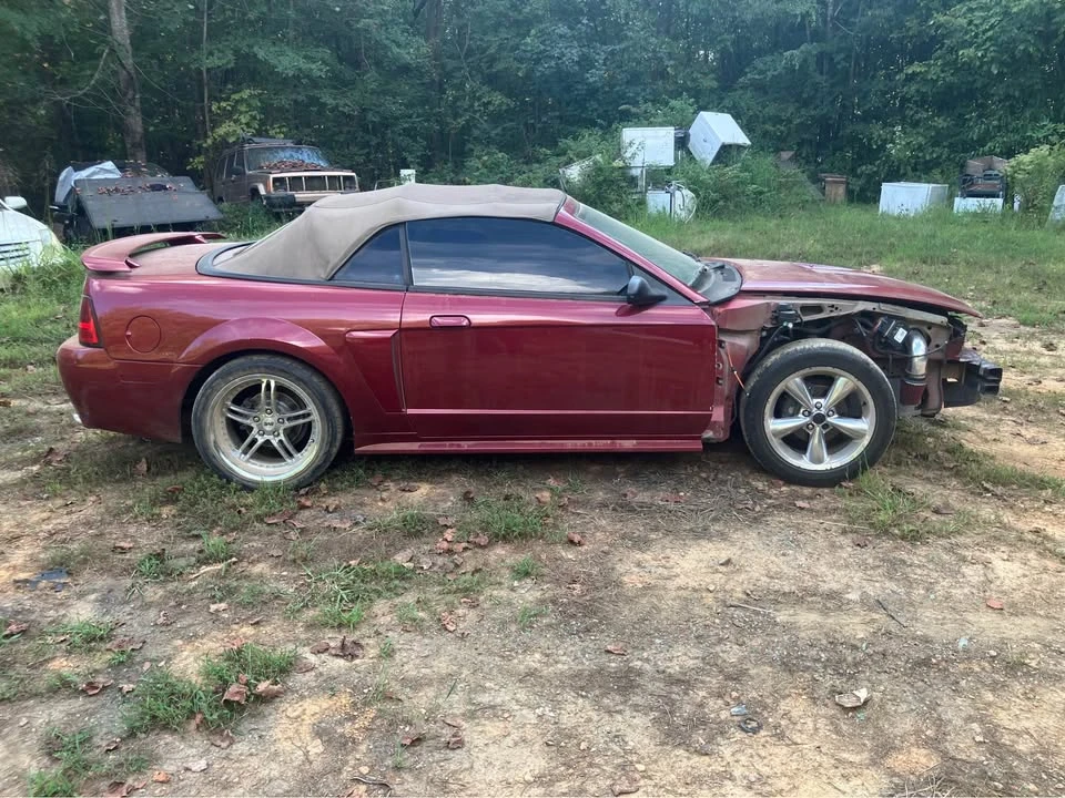 2001 Ford SN95 Mustang - Image 4 of 11