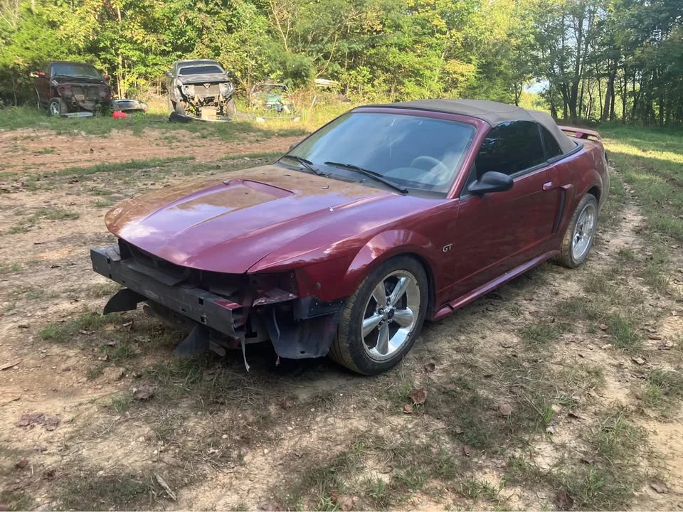 2001 Ford SN95 Mustang - Image 7 of 11
