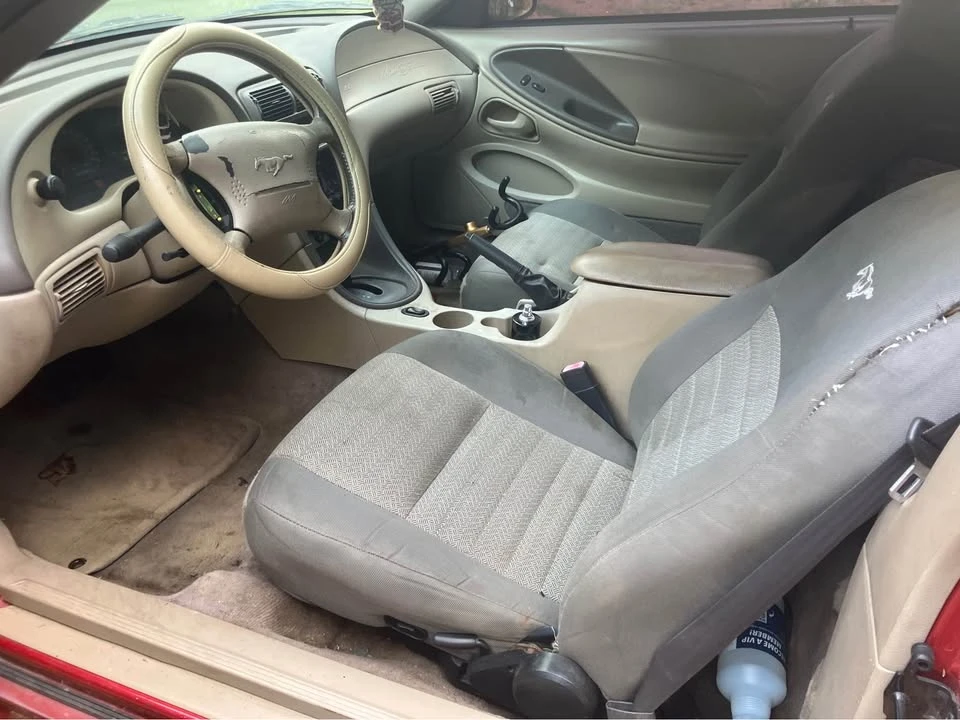 2001 Ford SN95 Mustang - Image 8 of 11