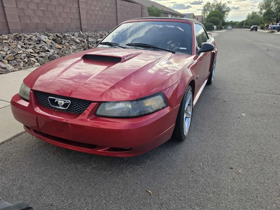 2001 Ford SN95 Mustang - Image 6 of 8
