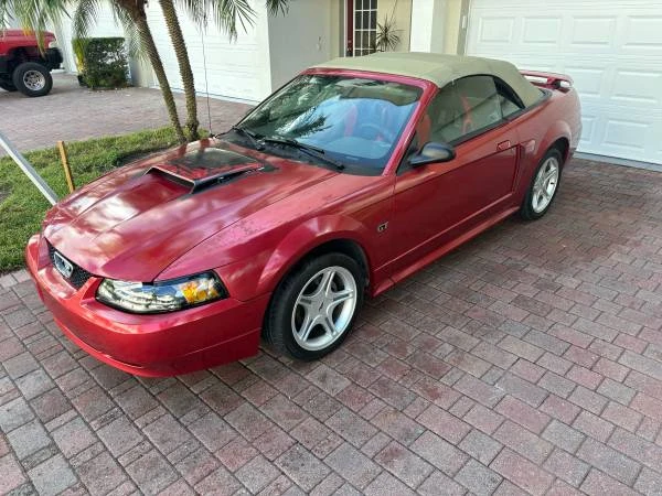 2001 Ford SN95 Mustang - Image 6 of 16