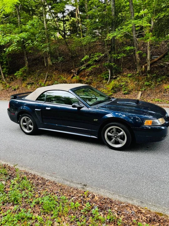 2001 Ford SN95 Mustang - Image 2 of 8
