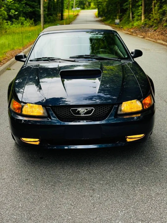 2001 Ford SN95 Mustang - Image 6 of 8