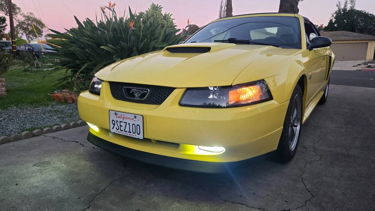 2001 Ford SN95 Mustang - Image 18 of 21
