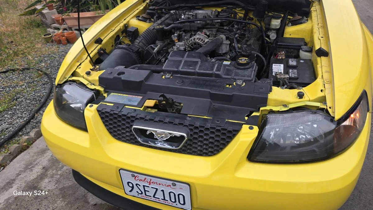 2001 Ford SN95 Mustang - Image 11 of 21