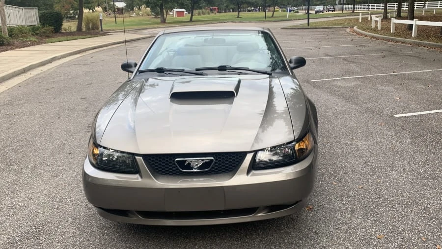 2001 Ford SN95 Mustang - Image 3 of 16