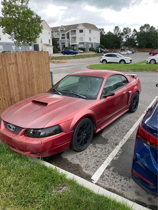 2001 Ford SN95 Mustang - Image 5 of 7