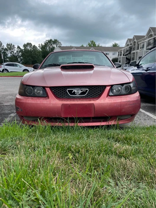 2001 Ford SN95 Mustang - Image 6 of 7