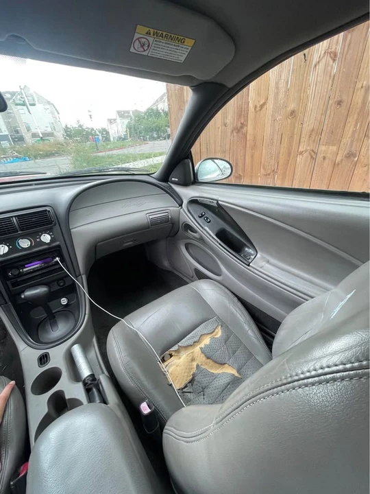 2001 Ford SN95 Mustang - Image 4 of 7