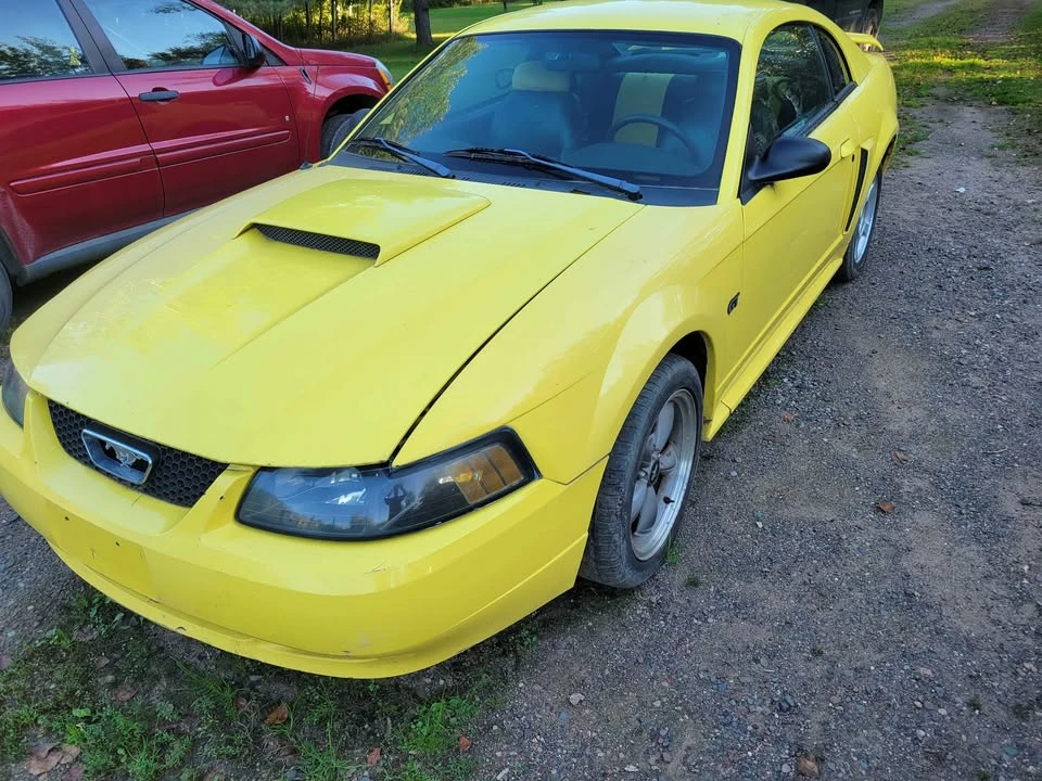 2001 Ford SN95 Mustang - Image 2 of 3