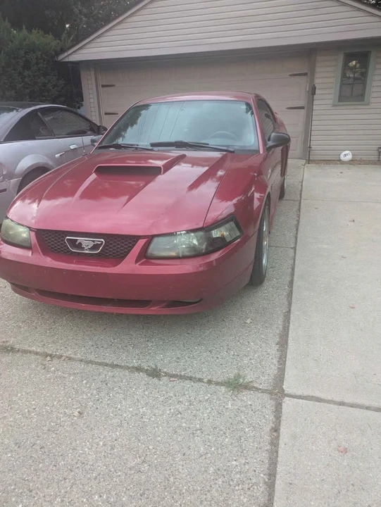 2001 Ford SN95 Mustang - Image 2 of 19