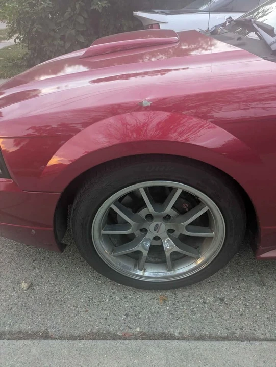 2001 Ford SN95 Mustang - Image 7 of 19