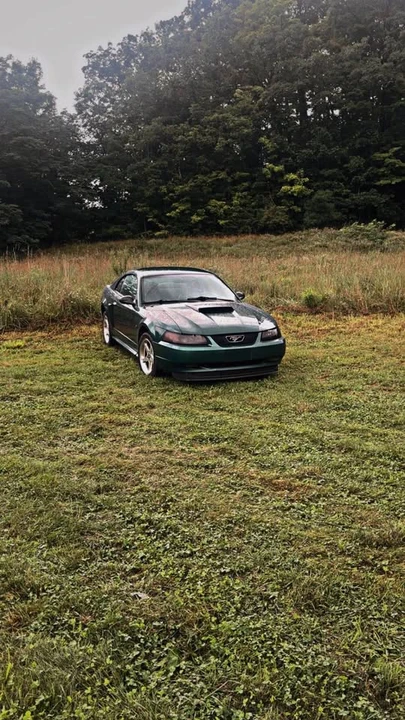 2001 Ford SN95 Mustang - Image 5 of 5