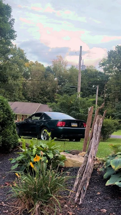 2001 Ford SN95 Mustang - Image 2 of 5